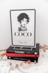 Livre Coco Chanel - The Illustrated World of a Fashion Icon 